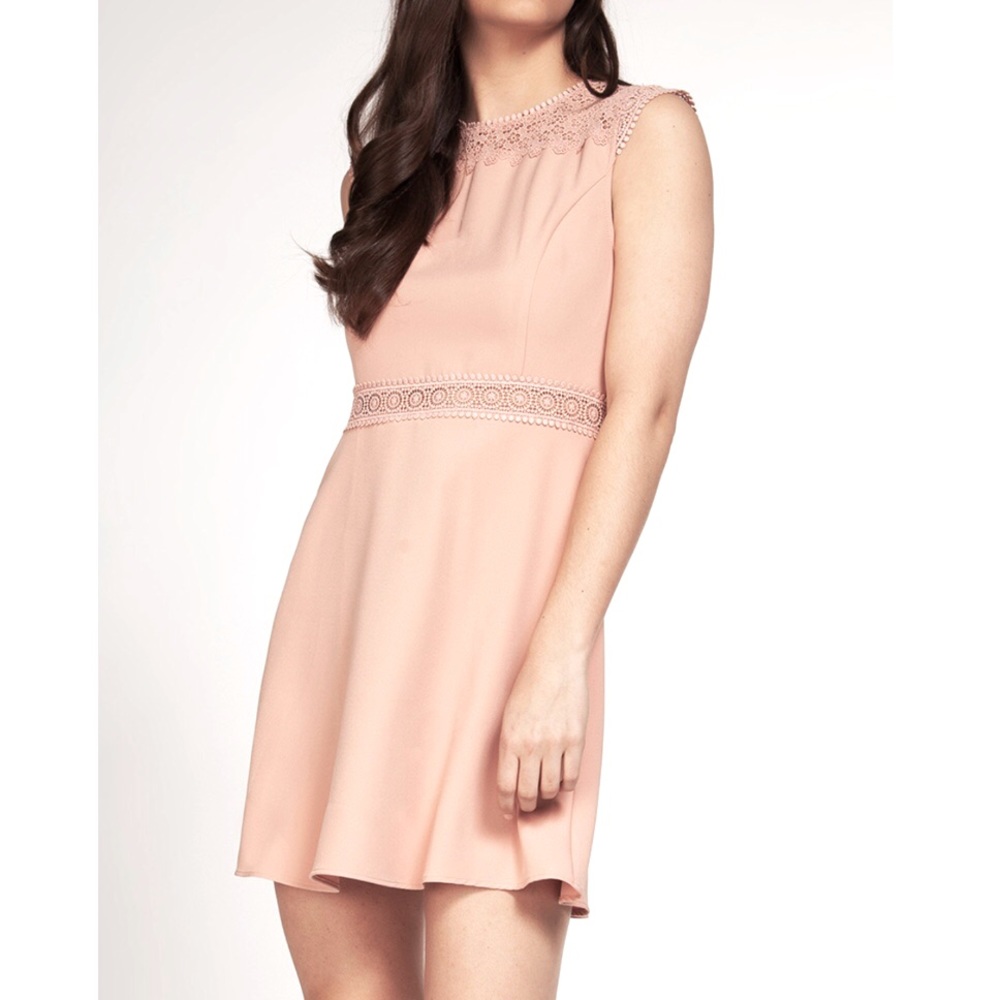 DEX Blush Floral Embroidered Dress